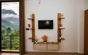 tv-inside-room