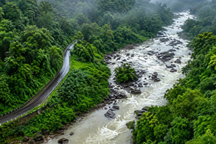muthirapuzha